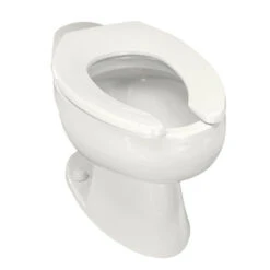 Kohler K-4349-0 Wellcomme 1.6 Gpf Flushometer Valve Elongated Toilet Bowl With Rear Inlet, Requires Seat - White